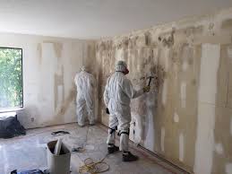 Best Attic Mold Removal  in Snowflake, AZ